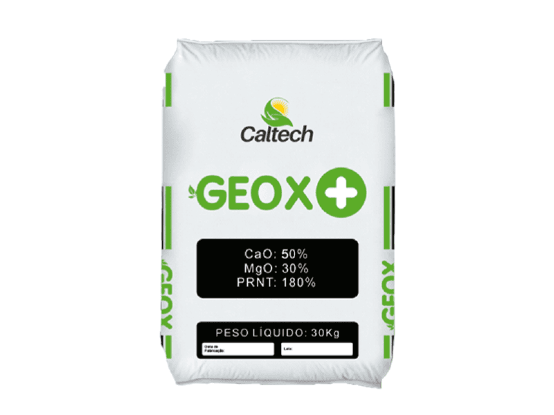 CALTECH CALCAREO GEOX 