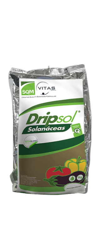 SQM DRIPSOL SOLANACEAS 12.10.25 