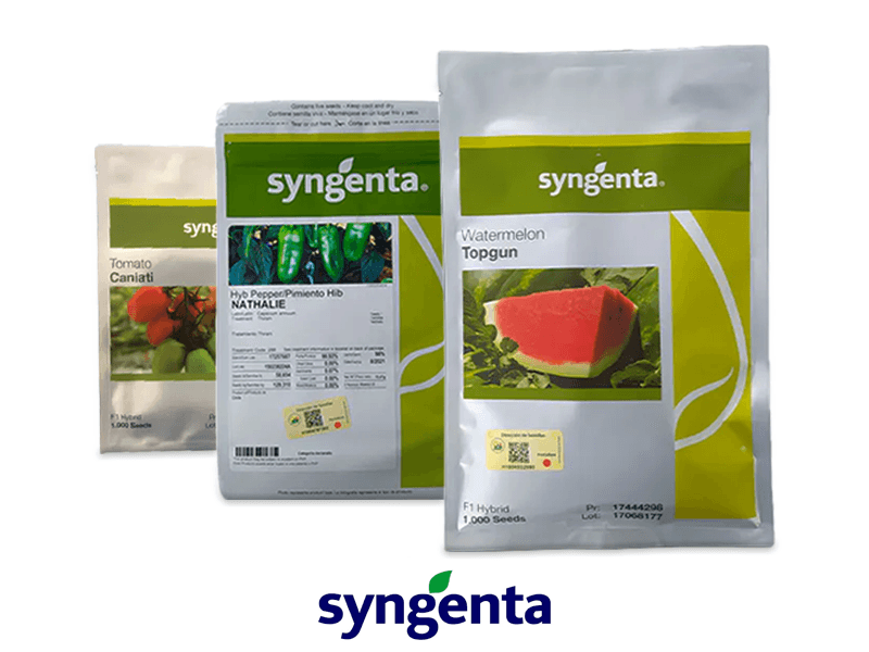 SEMILLAS SYNGENTA HIBRIDA