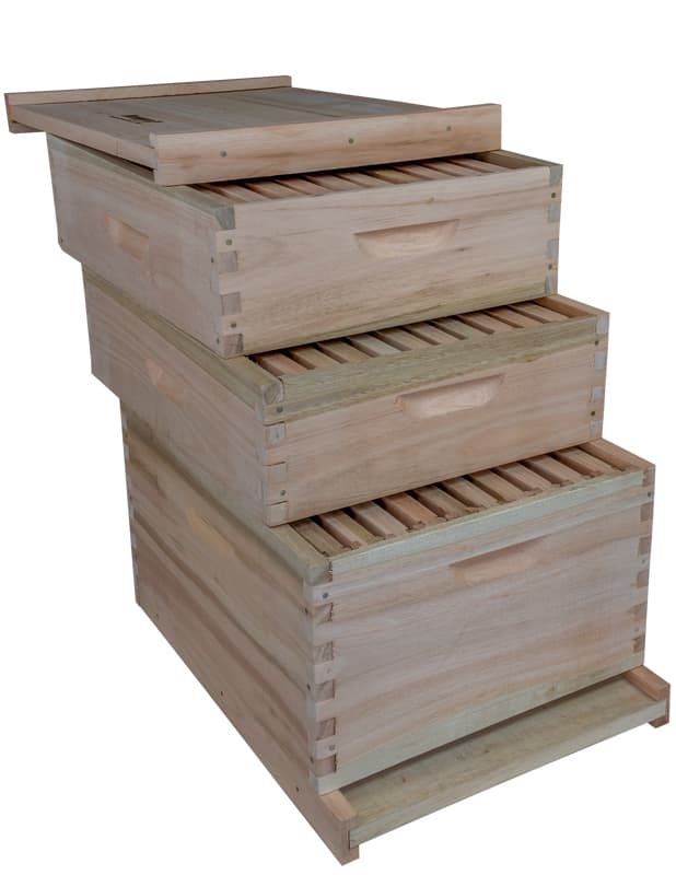 APICULTURA CAJA PARA ABEJAS DOBLE LANGSTROTH