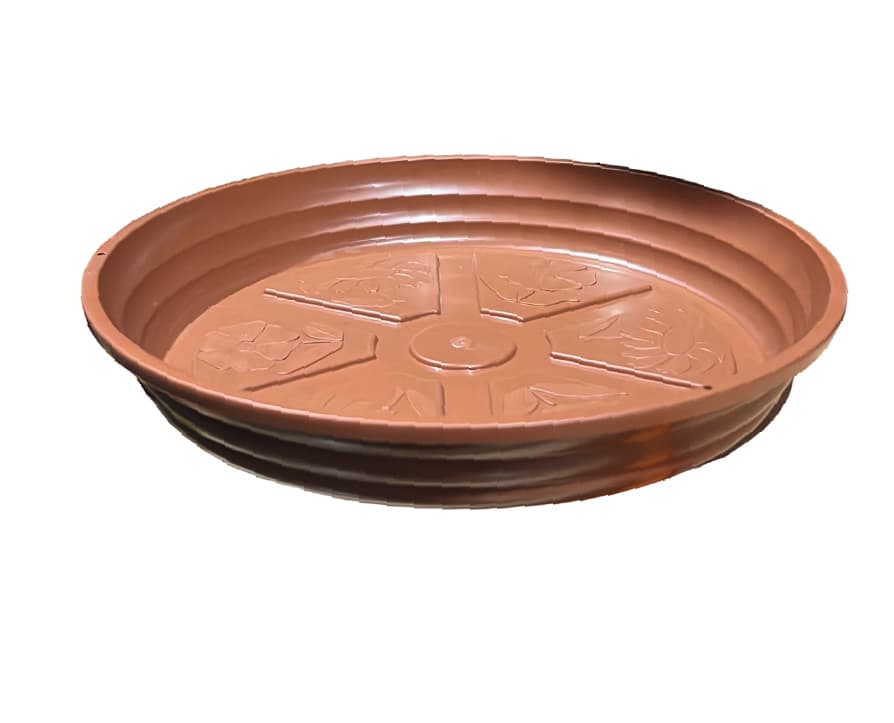 PLATO MARRON