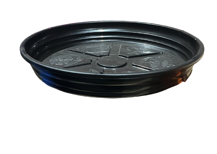 PLATO NEGRO