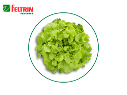 SEMILLA LECHUGA NATALY 1.000 SEMILLAS FELTRIN