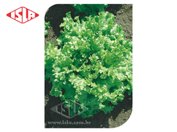 SEMILLA LECHUGA GRAND RAPIDS 100 GR ISLA