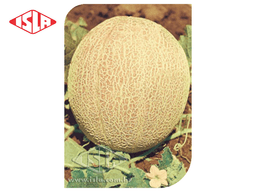 SEMILLA MELON IMPERIAL HALES BEST 100 GR ISLA