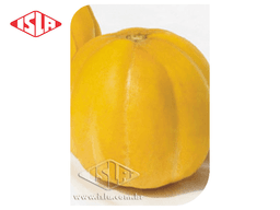 SEMILLA MELON REDONDO GAUCHO 100 GR ISLA