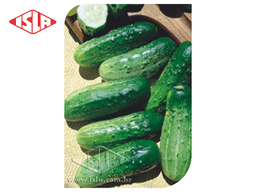 SEMILLA PEPINO WISCONSIN DE CONSERVA SRM 18 100 GR ISLA