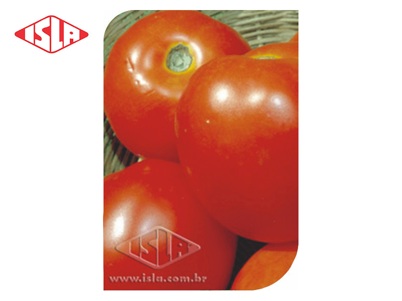 SEMILLA TOMATE SANTA CRUZ KADA 100 GR ISLA