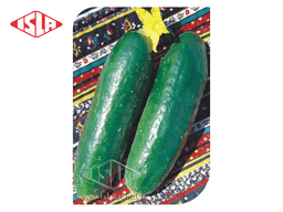 SEMILLA PEPINO VERDE COMPRIDO 250 GR ISLA