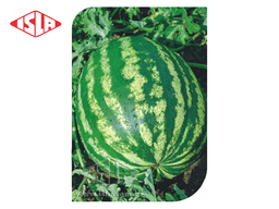 SEMILLA GOLDEN SUPER SANDIA CRIMSON SWEET 9 GR ISLA 