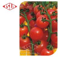 SEMILLA GOLDEN SUPER TOMATE CEREZA (CHERRY) 7 GR ISLA 