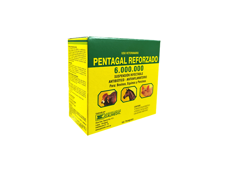 PENTAGAL REFORZADO 6.000.000 X2 15 ML INYECTABLE