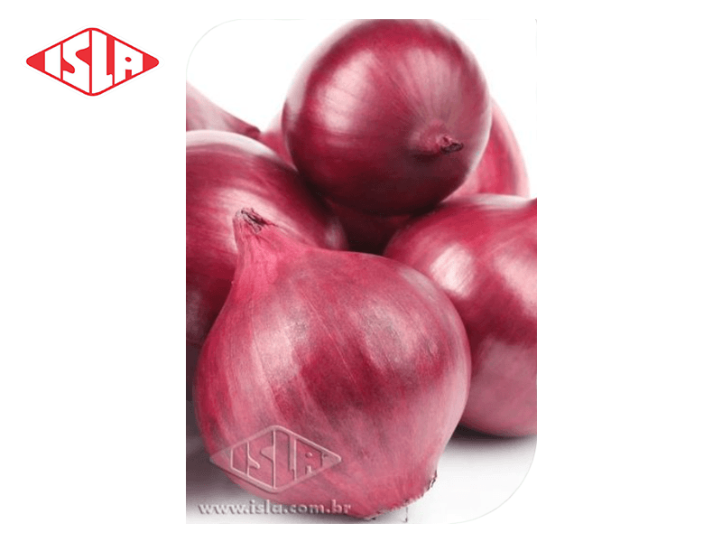 SEMILLA MULTI CEBOLLA ROJA ISLA