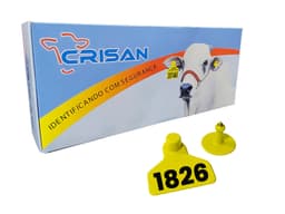 BRINCO AMARILLO MD 1826-1850 CRISAN