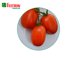 SEMILLA HIBRIDA TOMATE DOLBY 1.000 SEMILLAS FELTRIN