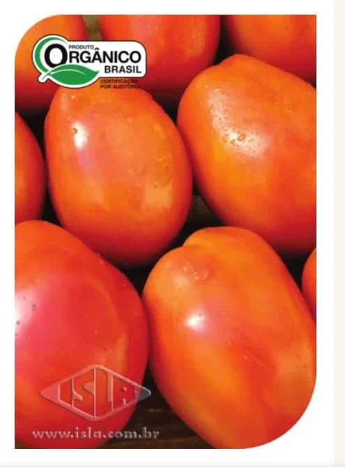 SEMILLA TOMATE IPA 6 100 GR ISLA