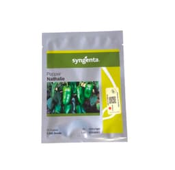 SEMILLA HIBRIDA LOCOTE NATHALIE F1 1.000 SEMILLAS SYNGENTA