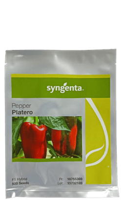 SEMILLA HIBRIDA LOCOTE PLATERO F1 500 SEMILLAS SYNGENTA