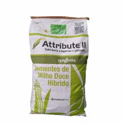 SEMILLA MAIZ DULCE HIBRIDA SYNGENTA THUNDER 60.000 SEMILLAS