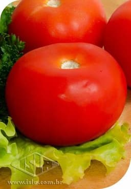 SEMILLA TOMATE KAICARA 250 GR ISLA