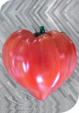 SEMILLA GOLDEN SUPER TOMATE CORAZON DE BUEY 2,5 GR ISLA