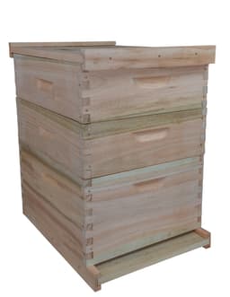 APICULTURA CAJA PARA ABEJAS JATAI  VERTICAL BEETHOVEN