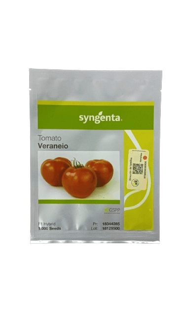 SEMILLA HIBRIDA TOMATE VERANEIO F1 1.000 SEMILLAS SYNGENTA