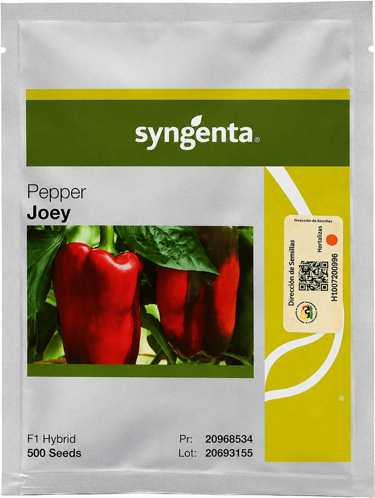 SEMILLA HIBRIDA LOCOTE JOEY F1 500 SEMILLAS SYNGENTA