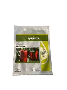 SEMILLA HIBRIDA LOCOTE GRACIOSA F1 500 SEMILLAS SYNGENTA