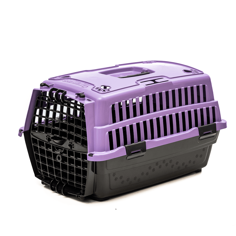 CAJA DE TRANSPORTE LOVE TRAVEL N°2 LILA