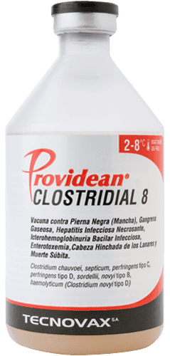 VACUNA CLOSTRIDIAL 8 50ML 25 DOSIS 