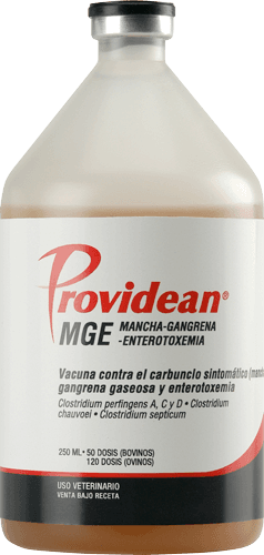 VACUNA MGE 50ML 25 DOSIS 