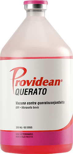 VACUNA QUERATO 250ML 50 DOSIS