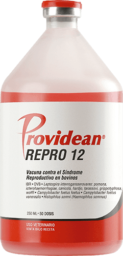 VACUNA REPRO 12 125ML 25 DOSIS