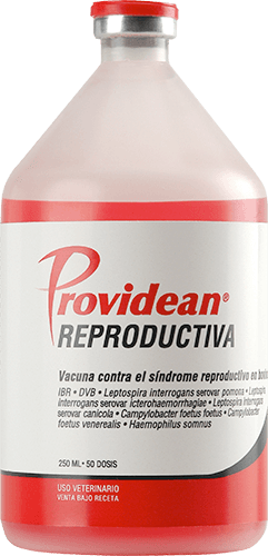 VACUNA REPRODUCTIVA 250ML 50 DOSIS