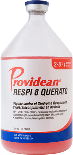 VACUNA RESPI 8 QUERATO 250ML 50 DOSIS