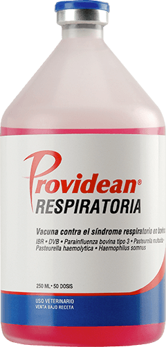 VACUNA RESPIRATORIA 250ML 50 DOSIS