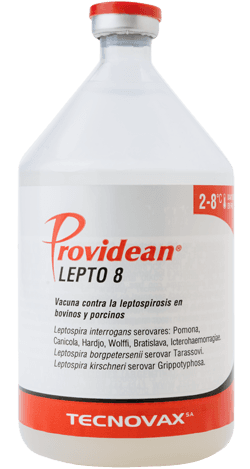 VACUNA LEPTO 8 100ML 25 DOSIS