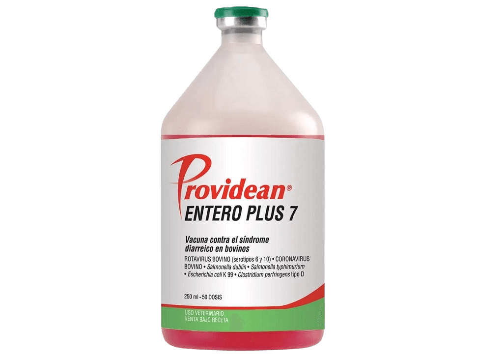 VACUNA ENTERO PLUS 7 250ML 50 DOSIS 
