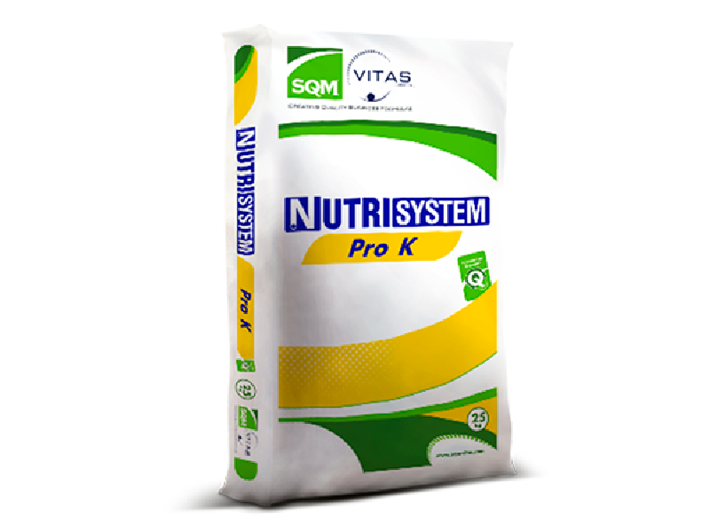 SQM NUTRISYSTEM PRO K (12.00.46) 25KG